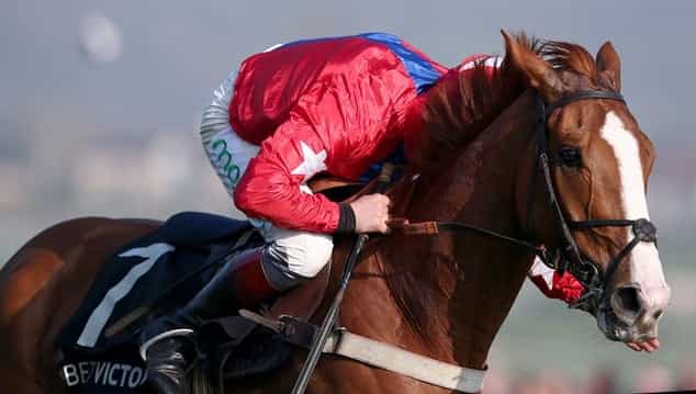 Sire De Grugy has had special shoes made for his trip to Cheltenham