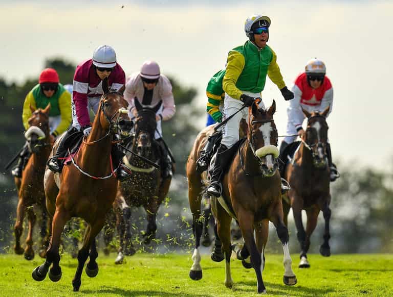 Everything you need to know about the Galway Festival Fantasy League