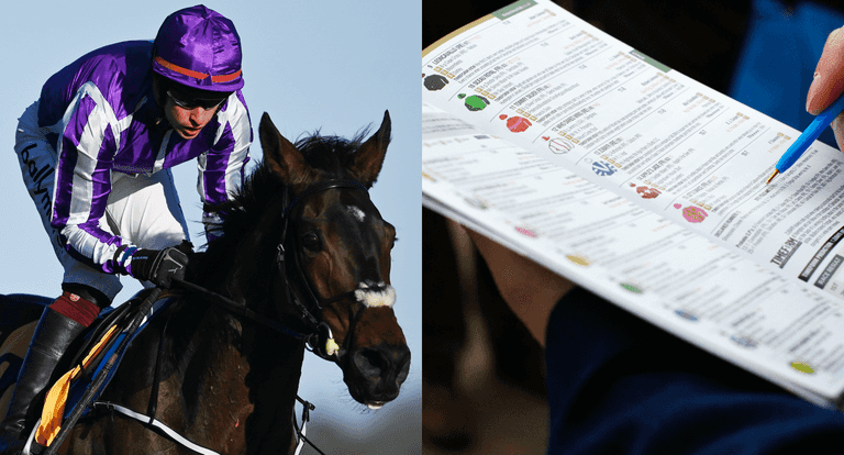 The three best outside bets at the Cheltenham festival