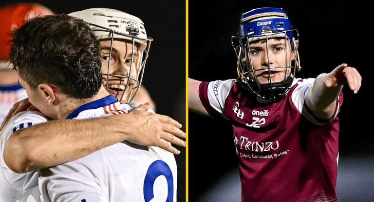 GAA JOE Fitzgibbon Cup team of the year GAA JOE Fitzgibbon Cup team of the year