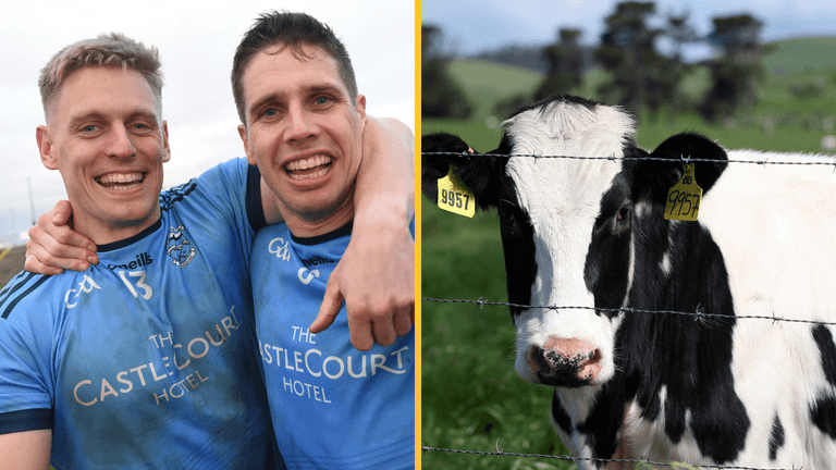 Mayo GAA club come up with genius ‘cow poo’ fundraiser idea for great cause