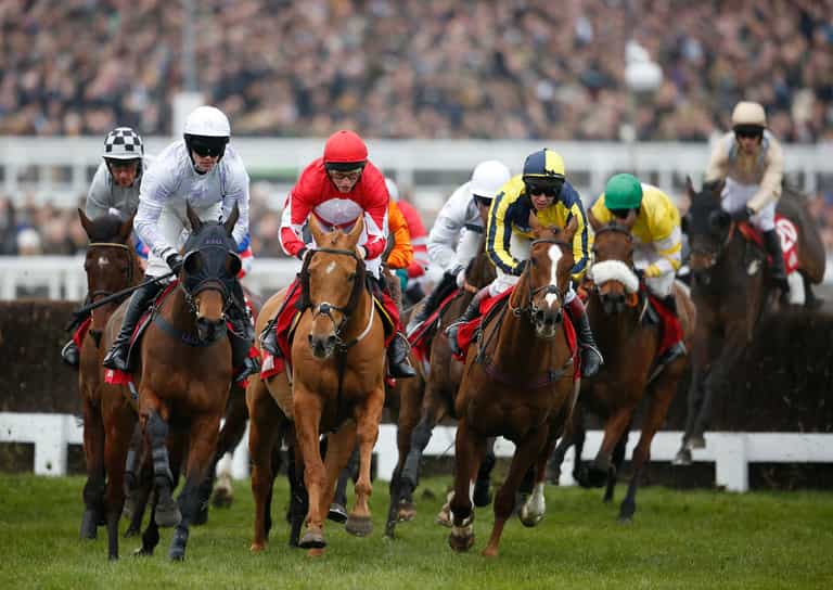 Cheltenham: Follow the 2026 festival live in our hub