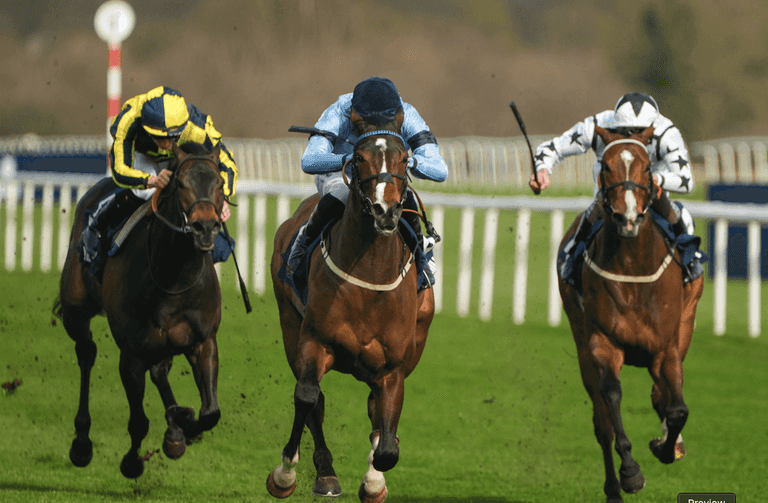 Paddock Picks – Our big tips for this weekend’s racing