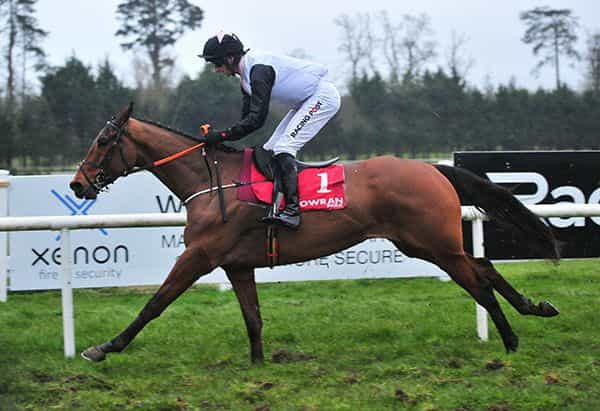 10 horses to follow for the 2020/21 national hunt season 10 horses to follow for the 2020/21 national hunt season