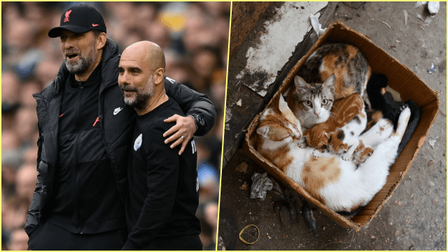 Liverpool, Manchester City, the Premier League title and Schrödinger’s cat