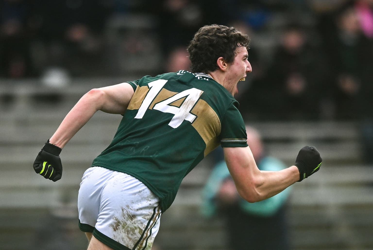 Calls for major GAA rule reversal after controversial opening weekend incidents