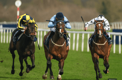 Paddock Picks – Our big tips for this weekend’s racing