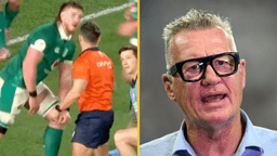 All Blacks legend accuses Irish star of sneaky cheating during defeat