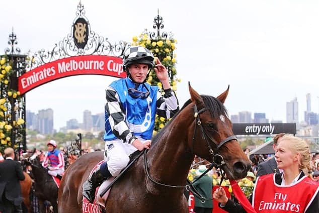 Protectionist victorious as fatalities overshadow Melbourne Cup Protectionist victorious as fatalities overshadow Melbourne Cup