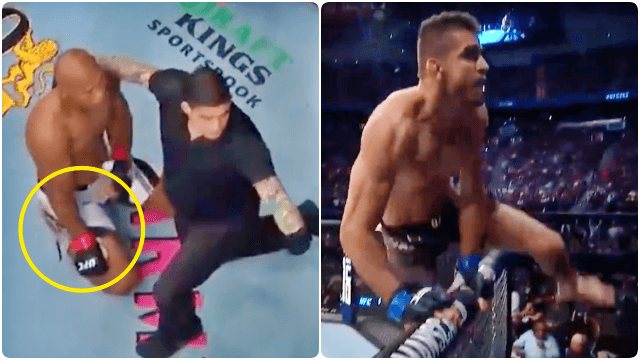 ‘Stop, stop, STOP!’ – Texas crowd left stunned as UFC legend has arm snapped ‘Stop, stop, STOP!’ – Texas crowd left stunned as UFC legend has arm snapped