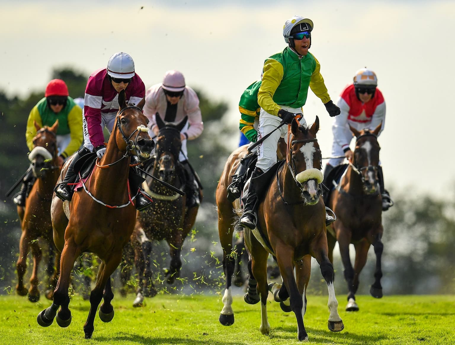 Everything you need to know about the Galway Festival Fantasy League