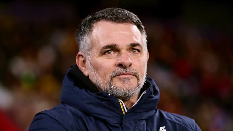 Champions League winner emerges as contender for Ireland manager job Champions League winner emerges as contender for Ireland manager job