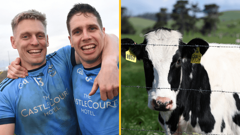 Mayo GAA club come up with genius ‘cow poo’ fundraiser idea for great cause Mayo GAA club come up with genius ‘cow poo’ fundraiser idea for great cause
