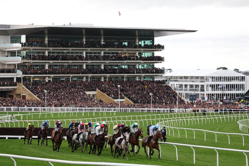 Best Cheltenham Betting Sites & Apps