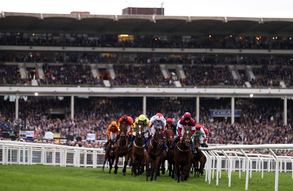 Cheltenham Free Bets – Ireland 2026