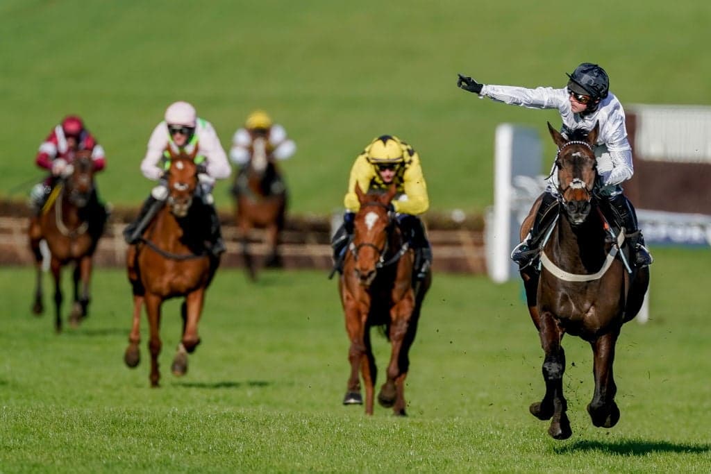 bet365 Free Bets for Cheltenham Festival 2026