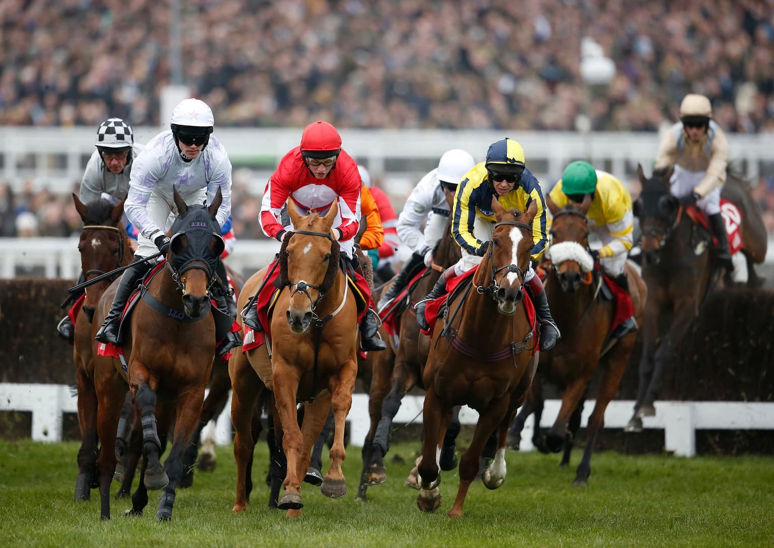 Cheltenham: Follow the 2026 festival live in our hub