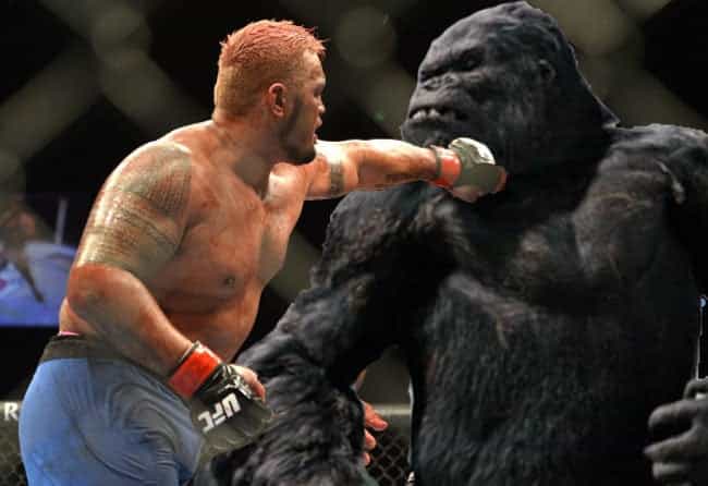 Mark Hunt doesn’t care if you’re King Kong or Godzilla, he’s going to KO you Mark Hunt doesn’t care if you’re King Kong or Godzilla, he’s going to KO you