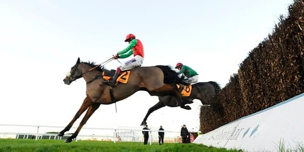 Oscar Whiskey and Balbriggan suffer fatal falls as Dodging Bullets wins Tingle Creek chase Oscar Whiskey and Balbriggan suffer fatal falls as Dodging Bullets wins Tingle Creek chase