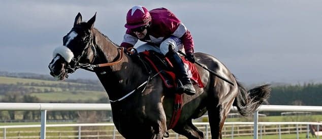 Don Cossack adds another Grade One success at Punchestown Don Cossack adds another Grade One success at Punchestown