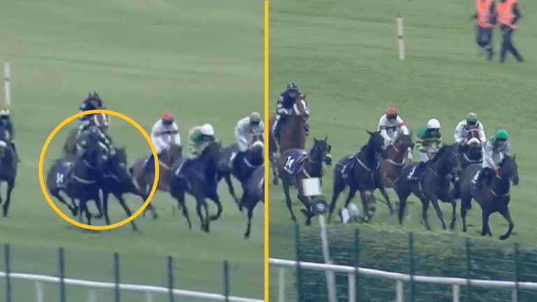 Jockey left shocked after loose horse causes chaos at Punchestown Jockey left shocked after loose horse causes chaos at Punchestown