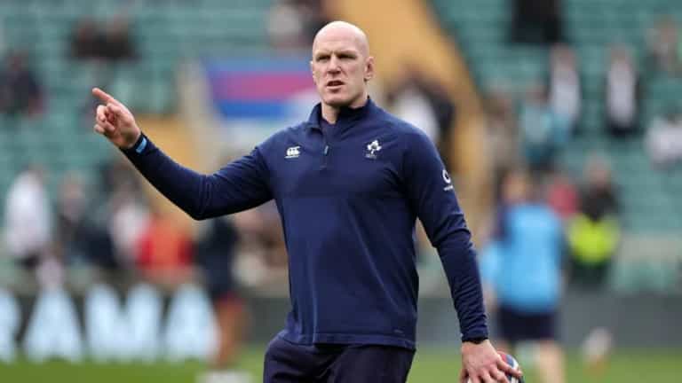 Paul O’Connell not fazed by size of Springboks challenge Paul O’Connell not fazed by size of Springboks challenge