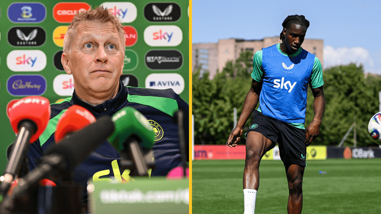 Hallgrimsson hits back at club manager over fitness of new Ireland star Hallgrimsson hits back at club manager over fitness of new Ireland star
