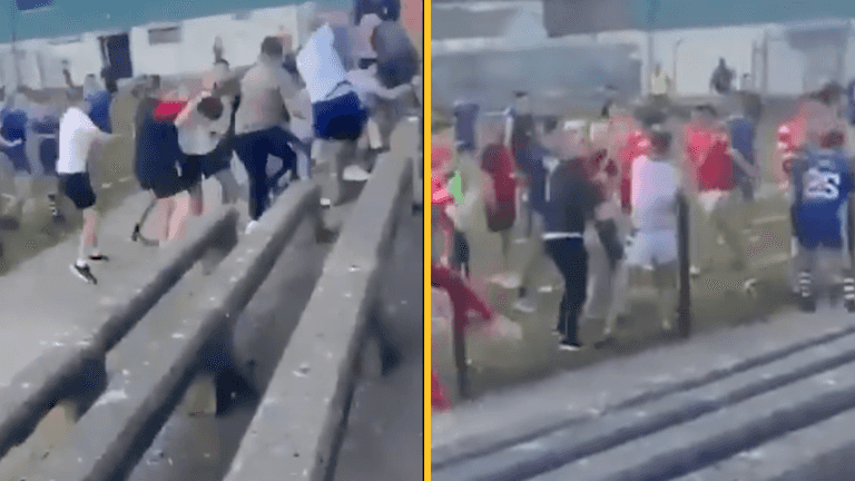 Wicklow GAA game descends into chaos with fight in the stands Wicklow GAA game descends into chaos with fight in the stands