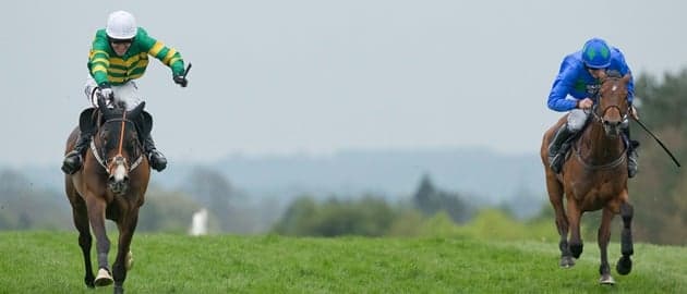 Hurricane Fly, Jezki head blockbuster field for Fairyhouse Hurricane Fly, Jezki head blockbuster field for Fairyhouse