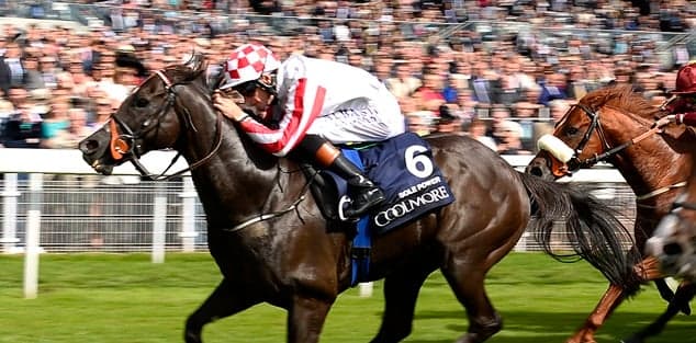 Sole Power and Eddie Lynam honoured at HRI Awards Sole Power and Eddie Lynam honoured at HRI Awards