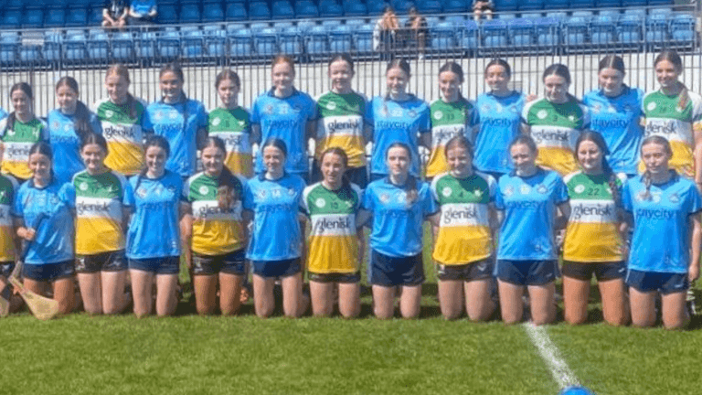 Dublin & Offaly forced back into skorts after ‘standoff’ and threat in final Dublin & Offaly forced back into skorts after ‘standoff’ and threat in final
