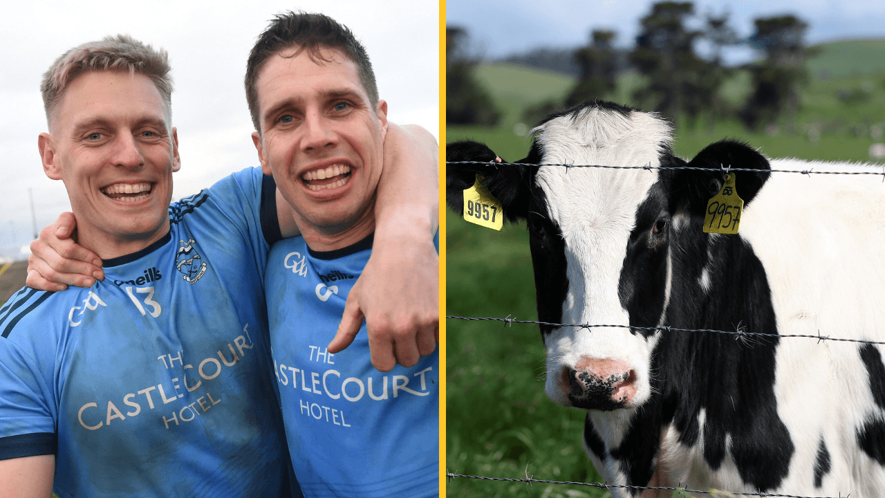 Mayo GAA club come up with genius ‘cow poo’ fundraiser idea for great cause