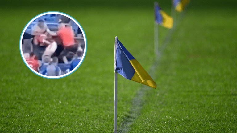 Multi-year bans given to players after mass brawl involving fans in Wicklow SFC Multi-year bans given to players after mass brawl involving fans in Wicklow SFC