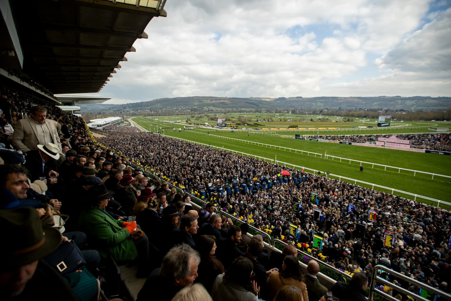 How to Enjoy the Cheltenham Festival 2026 in Ireland