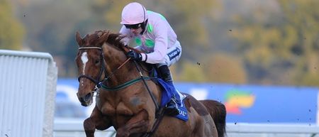 Willie Mullins confirms that Annie Power will remain over hurdles this season