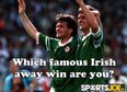 QUIZ: Which famous Ireland away win are you?