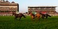 Many Clouds takes Hennessy Gold cup at Newbury