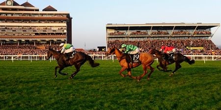 Many Clouds takes Hennessy Gold cup at Newbury