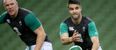 David Wallace: Ireland will pass Aussie test if they bring the fight