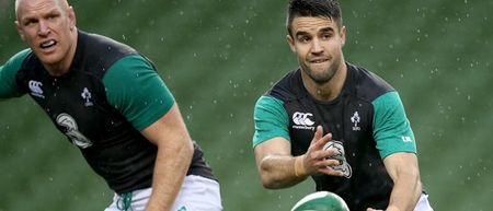 David Wallace: Ireland will pass Aussie test if they bring the fight