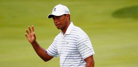 Tiger Woods hires biomechanics student to fix his swing