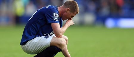 James McCarthy is the latest Irish victim to fall victim to Premier League injury