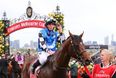 Protectionist victorious as fatalities overshadow Melbourne Cup