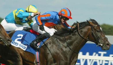 Derby winner High Chaparral dies aged 15