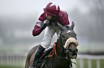 Clarcam wins Novice Chase while Faugheen shows he really is ‘The Machine’