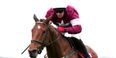 Bobs Worth disappoints as Road to Riches claims the Lexus Chase