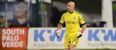 Pic: Marcus Hahnemann announces his retirement. From a treehouse. Holding a bottle of bourbon