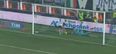 Video: Fiorentina goalie does an Enckleman with complete howler from nothing