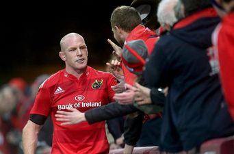 Paul Warwick: Munster will edge Clermont, while Leinster will end Quins’ hype