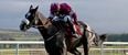 Don Cossack adds another Grade One success at Punchestown